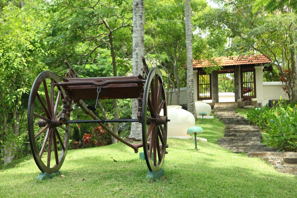 Clingendael Hotel Digana Luaran gambar